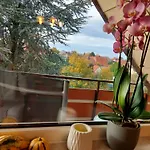 Cozy In Der Heide, Zentral Und Ruhig Appartement Schneverdingen