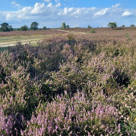 Apartament Cozy In Der Heide, Zentral Und Ruhig Schneverdingen