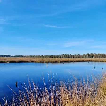 Cozy In Der Heide, Zentral Und Ruhig Apartament *