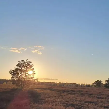 Cozy In Der Heide, Zentral Und Ruhig Apartman Schneverdingen