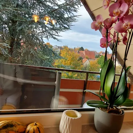 Cozy In Der Heide, Zentral Und Ruhig Apartman Schneverdingen