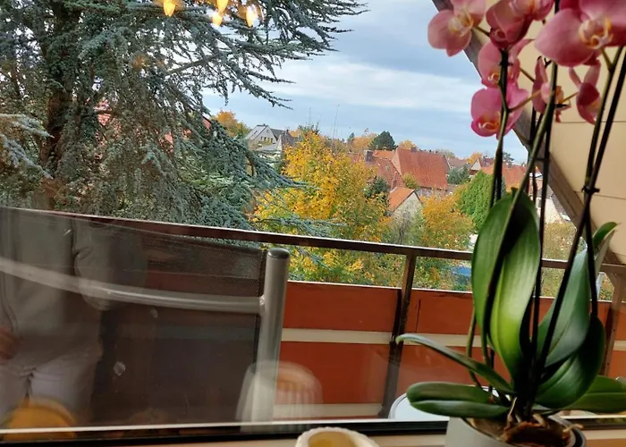 Cozy In Der Heide, Zentral Und Ruhig Apartament Schneverdingen